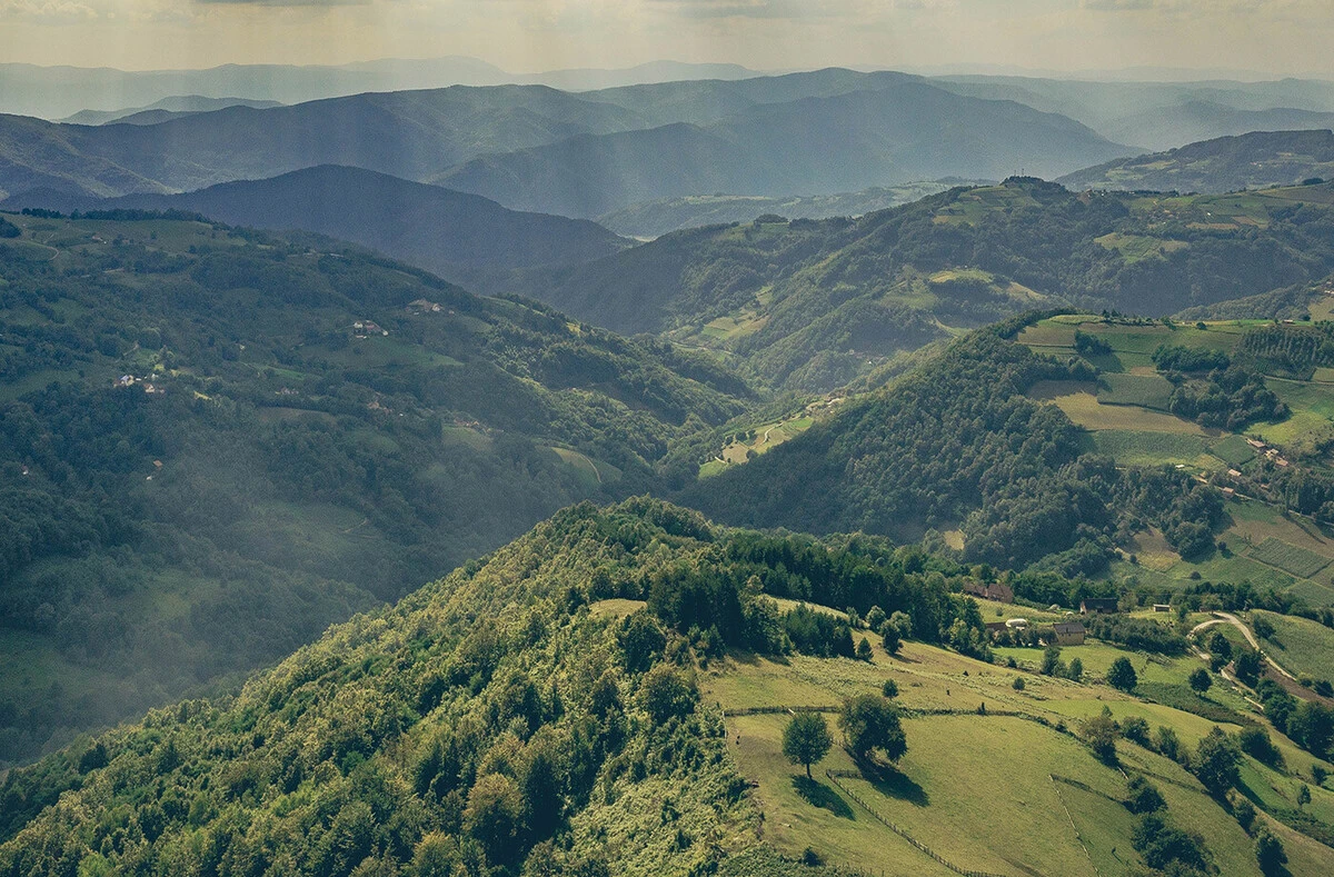 trendovi/306_made_in_serbia