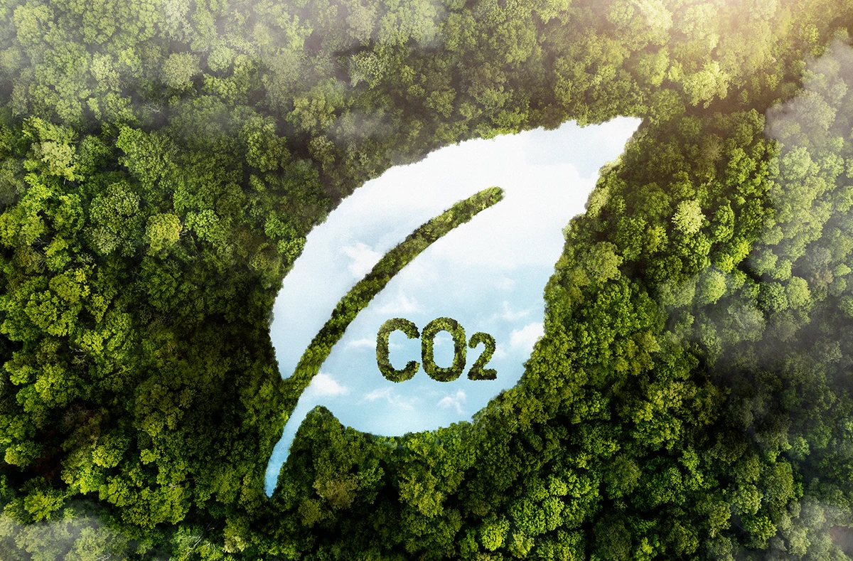 trendovi/392_carbon-offset-kat